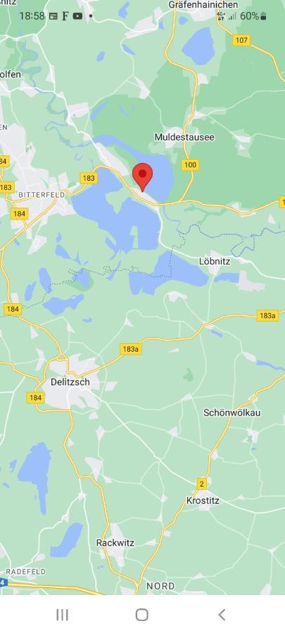 Ferienapartment-Monteurwohnung-Muldestausee Pouch Bagian luar foto